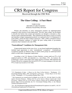 [20000114]96-86_玻璃天花板：情况说明书.pdf