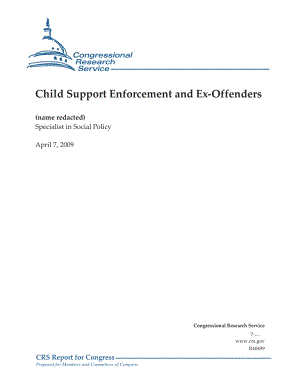 [20090407]R40499_儿童抚养执法和前罪犯.pdf