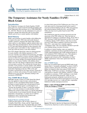 [20220324]IF10036_贫困家庭临时援助（TANF）整笔补助金.pdf