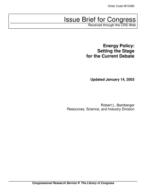 [20030114]IB10080_能源政策：为当前的辩论奠定基础.pdf