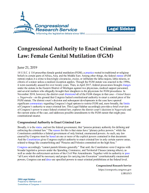 [20190621]LSB10313_国会制定刑法的权力：切割女性生殖器官（FGM）.pdf
