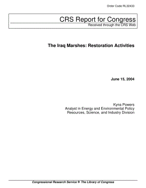 [20040615]RL32433_伊拉克沼泽：恢复活动.pdf