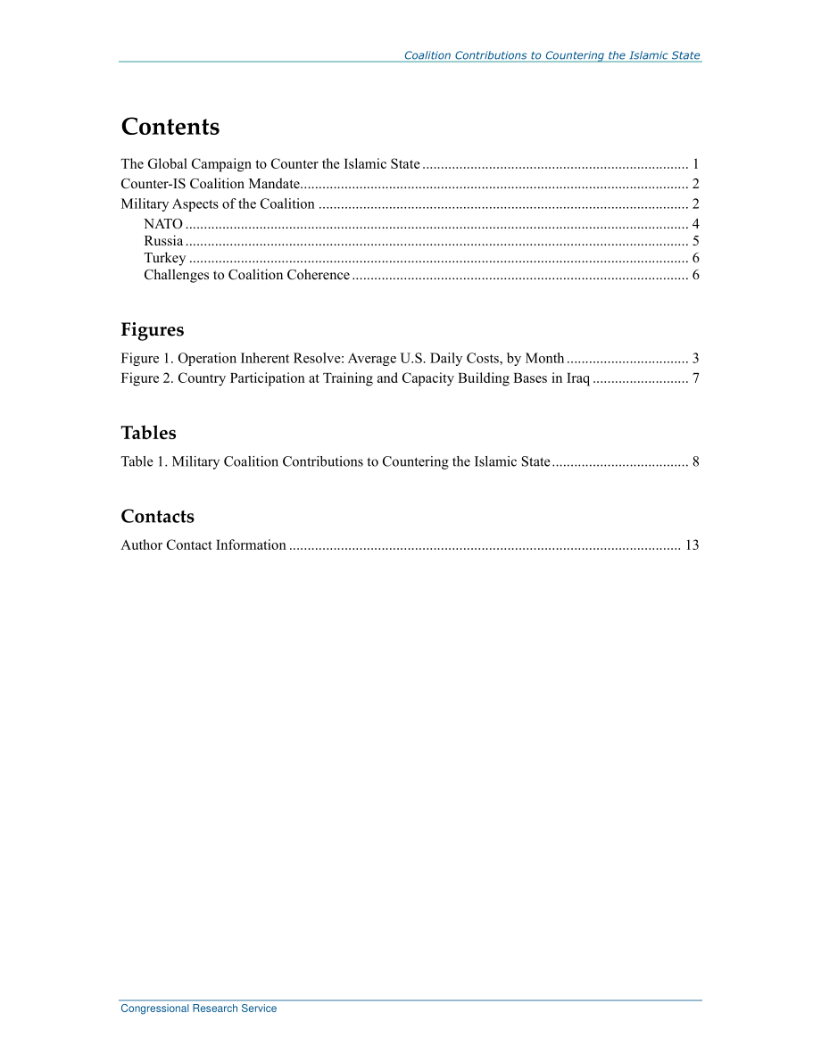 [20160824]R44135_联盟对打击伊斯兰国的贡献.pdf_第2页