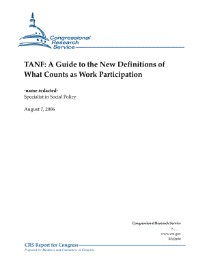 [20060807]RS22490_TANF：工作参与的新定义指南.pdf