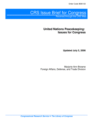 [20060705]IB90103_联合国维持和平行动：国会议题.pdf