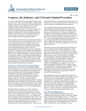 [20200522]IF11557_国会、司法机构、民事和刑事诉讼程序.pdf