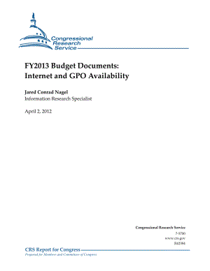 [20120402]R42384_2013财年预算文件：Internet和GPO可用性.pdf