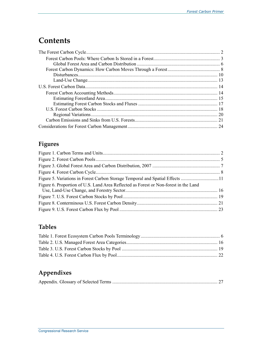 [20200505]R46312_森林碳基础.pdf_第3页