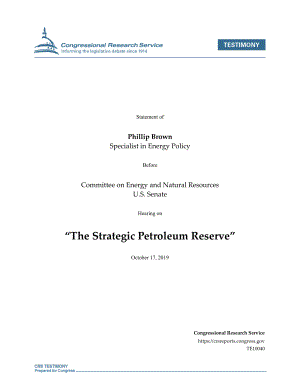 [20191017]TE10040_战略石油储备.pdf