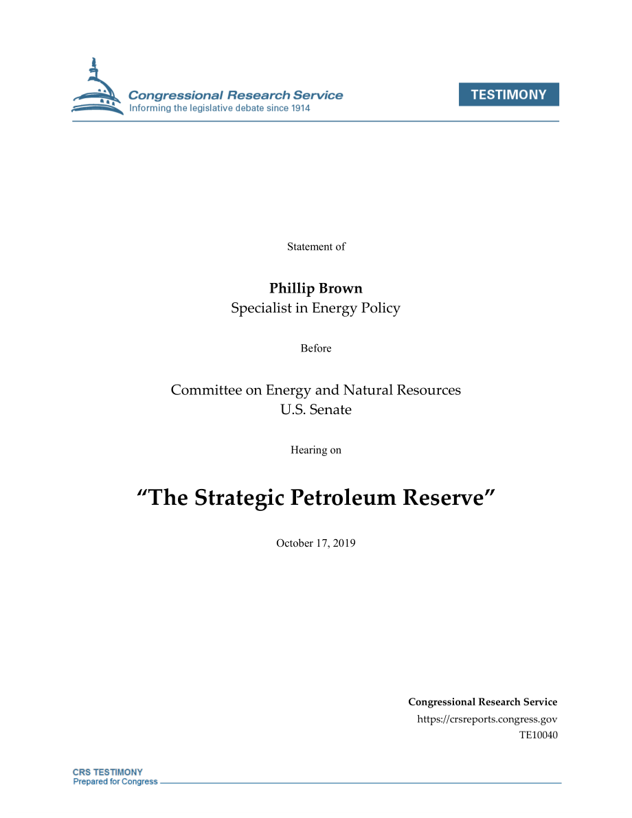 [20191017]TE10040_战略石油储备.pdf_第1页