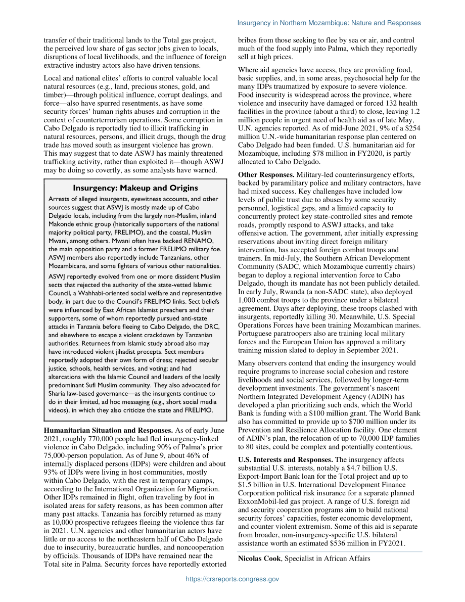 [20210728]IF11864_莫桑比克北部的叛乱：性质和反应.pdf_第2页