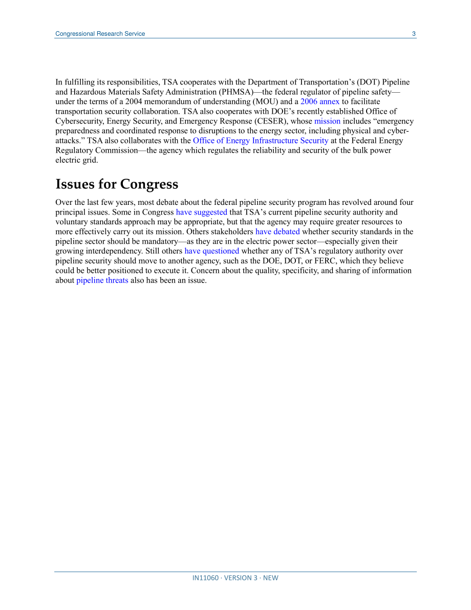 [20190301]IN11060_管道安全：第116届国会的国土安全问题.pdf_第3页