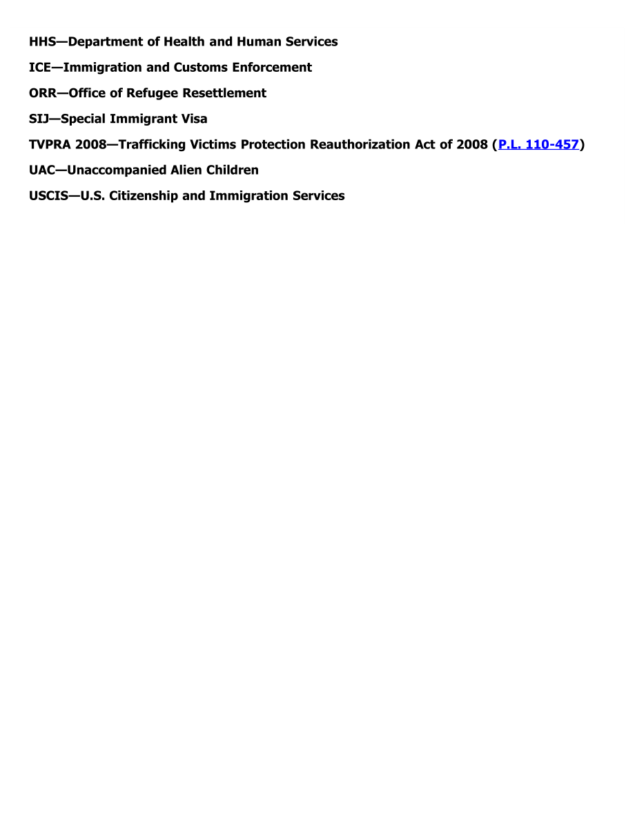 [20140716]IN10107_孤身外籍儿童：处理流程图.pdf_第3页