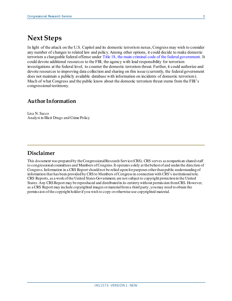 [20210113]IN11573_国内恐怖主义和对美国国会大厦的袭击.pdf_第3页