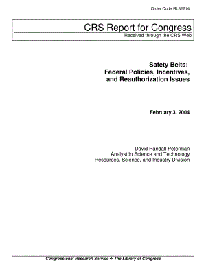 [20040203]RL32214_安全带：联邦政策、激励和再授权问题.pdf