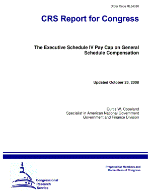[20081023]RL34380_行政人员附表四一般附表薪酬的薪酬上限.pdf