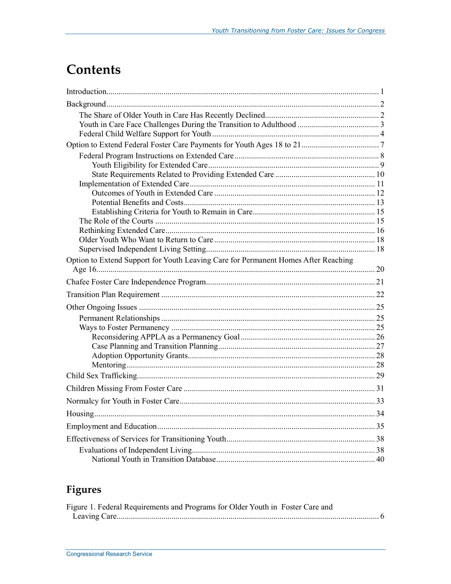[20141008]R40218_从寄养过渡的青年：国会议题.pdf_第3页