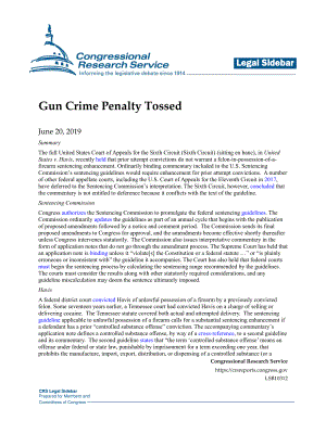 [20190620]LSB10312_枪械犯罪罚款.pdf