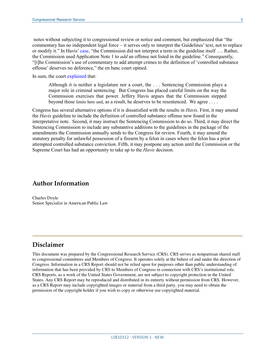 [20190620]LSB10312_枪械犯罪罚款.pdf_第3页