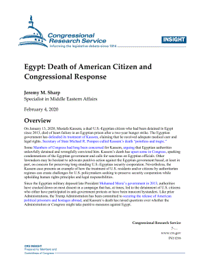 [20200204]IN11216_埃及：美国公民之死与国会反应.pdf
