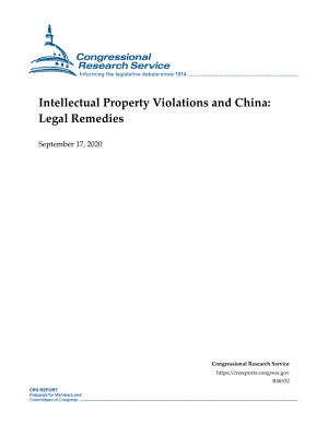 [20200917]R46532_知识产权侵权与中国：法律补救措施.pdf