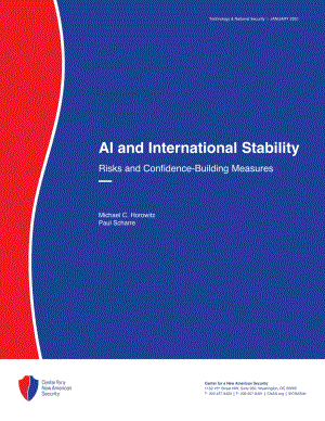 人工智能与国际稳定 风险和建立信任措施[20210112].pdf