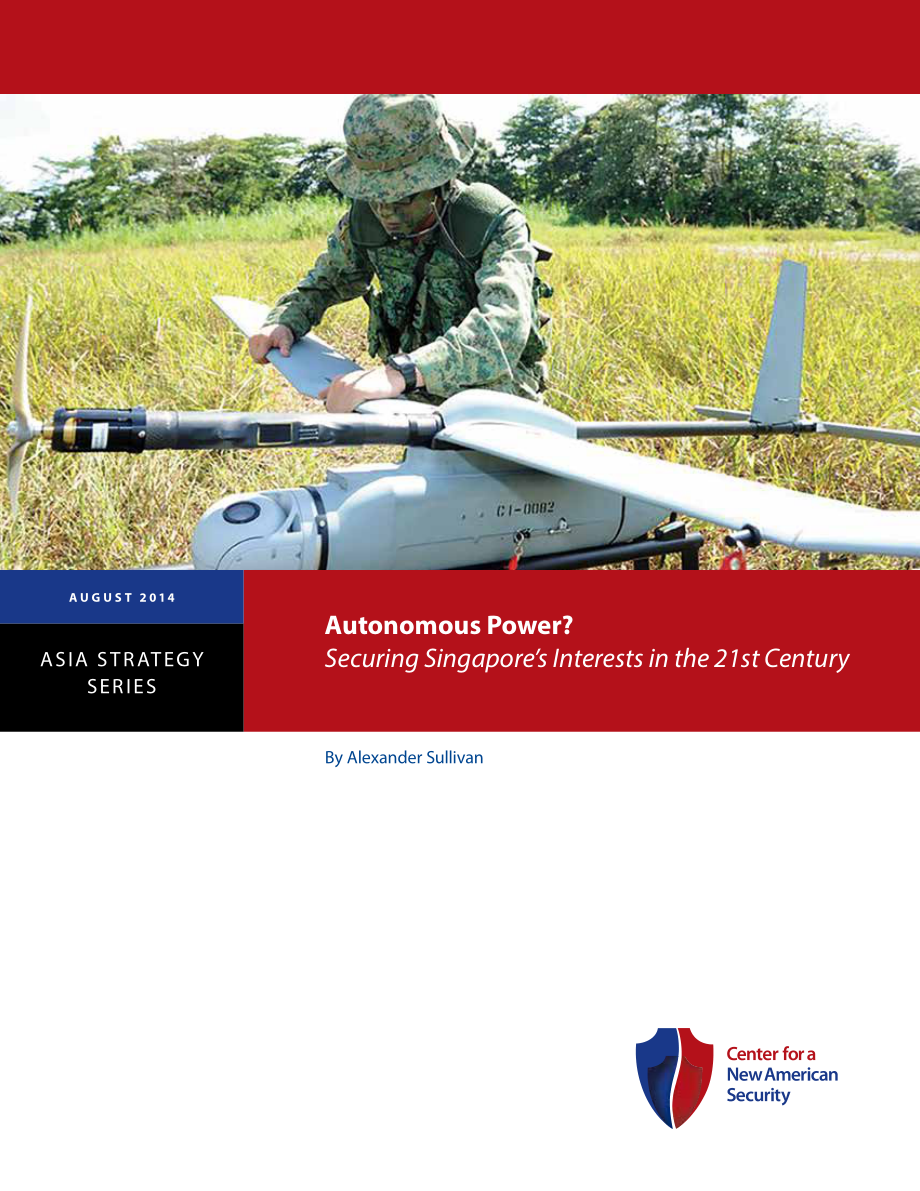 自主力量？确保新加坡在21世纪的利益[20140827].pdf_第1页