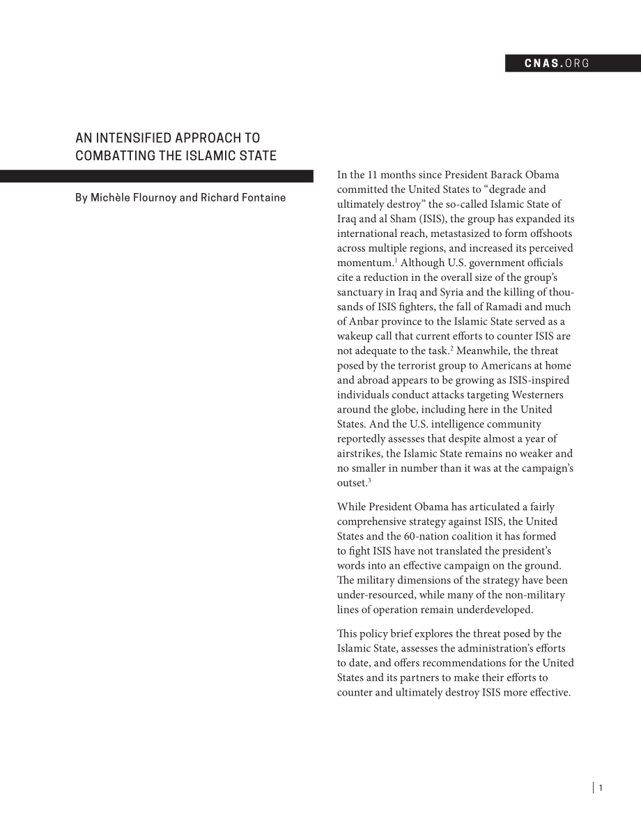 加强打击伊斯兰国的方法[20150806].pdf_第3页