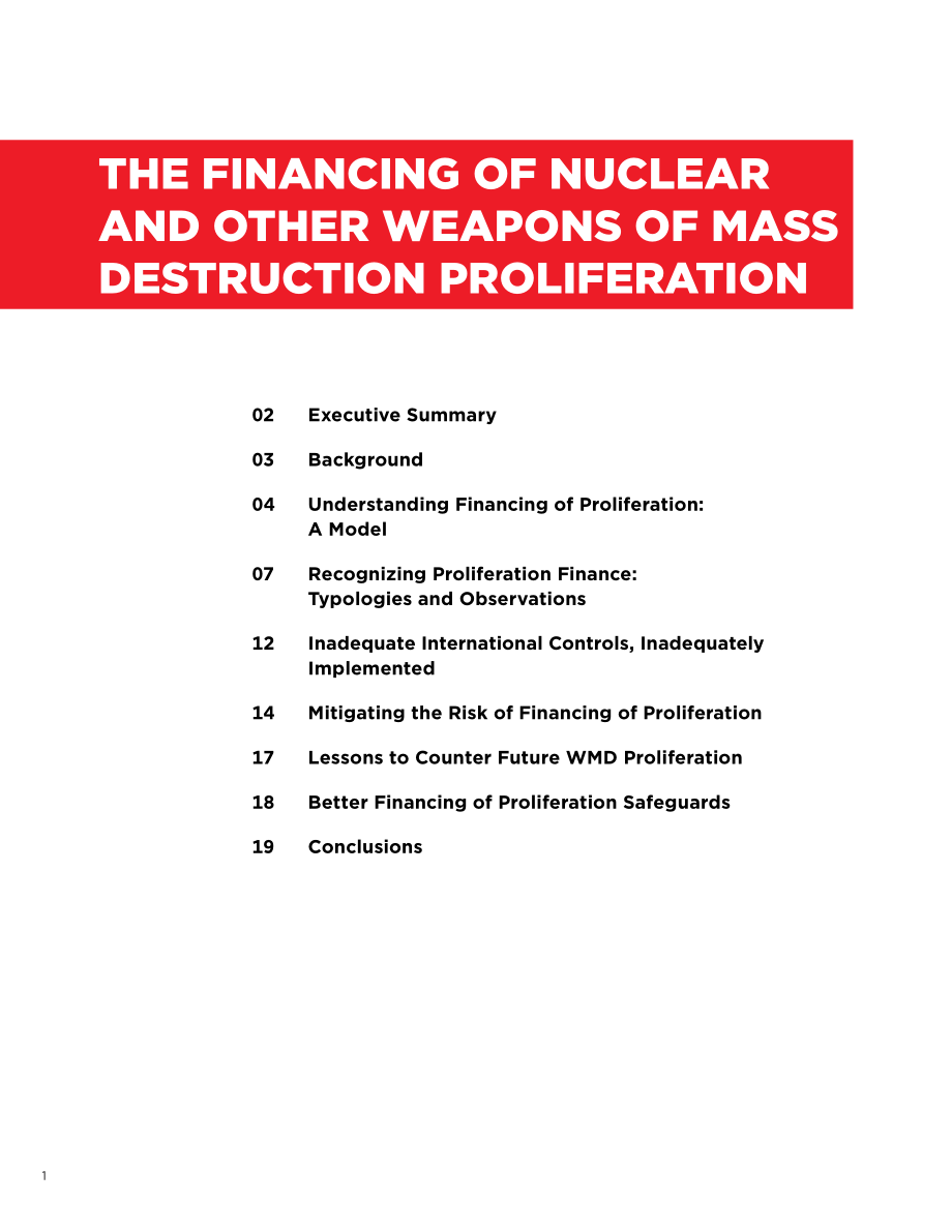 核武器和其他大规模毁灭性武器扩散的筹资[20180124].pdf_第3页