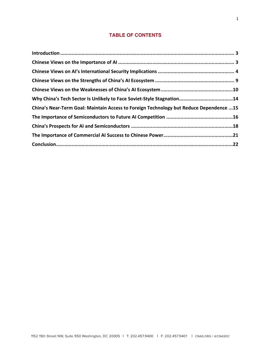 了解中国的人工智能战略[20190206].pdf_第2页
