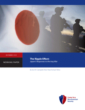 涟漪效应 日本对伊拉克战争的反应[20081015].pdf