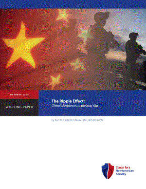 涟漪效应 中国对伊拉克战争的反应[20081015].pdf