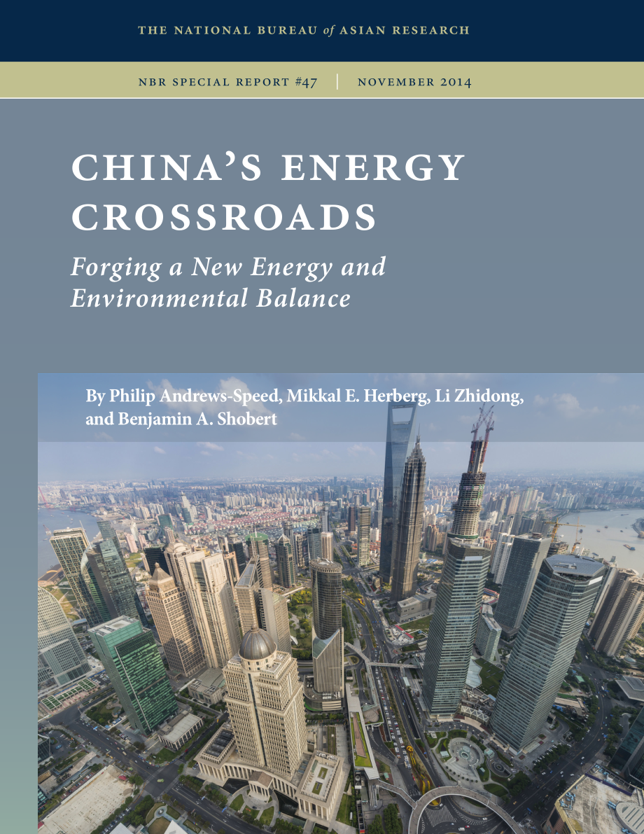 中国能源十字路口_第1页