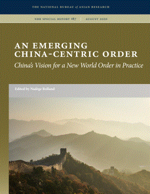 新兴的以中国为中心的秩序：中国实践中的新世界秩序愿景