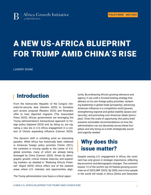 在中国崛起的背景下特朗普对美国与非洲关系的新蓝图